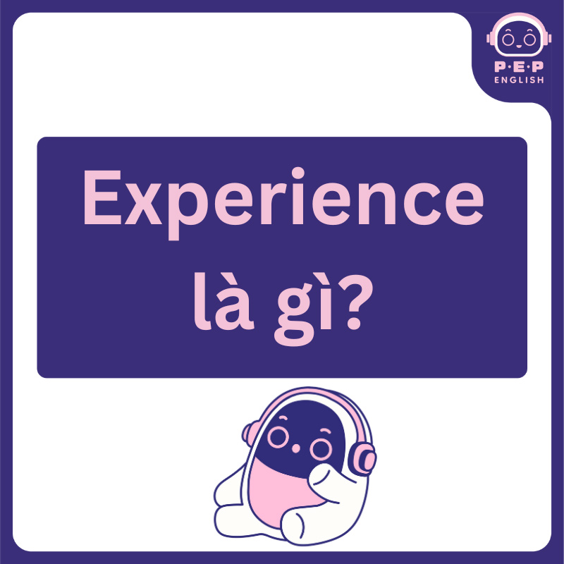 Experience là gì?